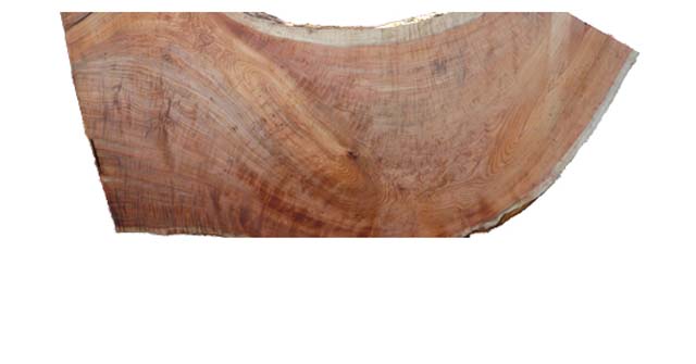 入手困難美麗木目の天然杉根杢一枚板
