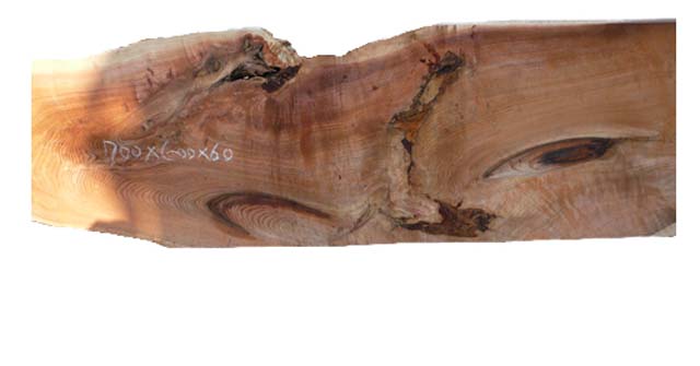 天然素材を生かした家具などに、杉の根杢素材
