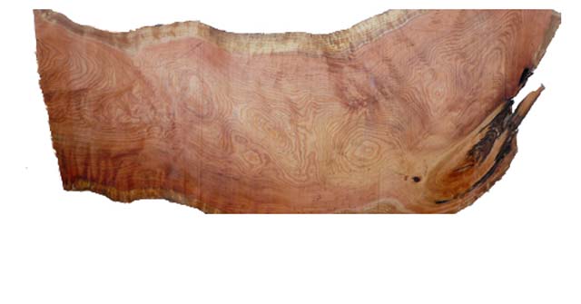 木目が美しい天然杉素材の知木板