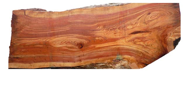 木目を生かした机に適した杉の根杢一枚板